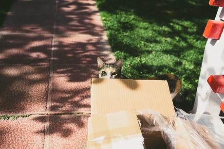 Cristina & Ángel [Boda Zaragoza]