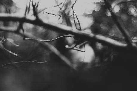 Cristina & Ángel [Preboda Zaragoza Moncayo]