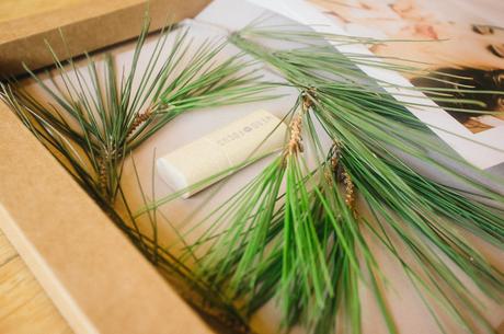 El final de un viaje…el comienzo de una aventura.