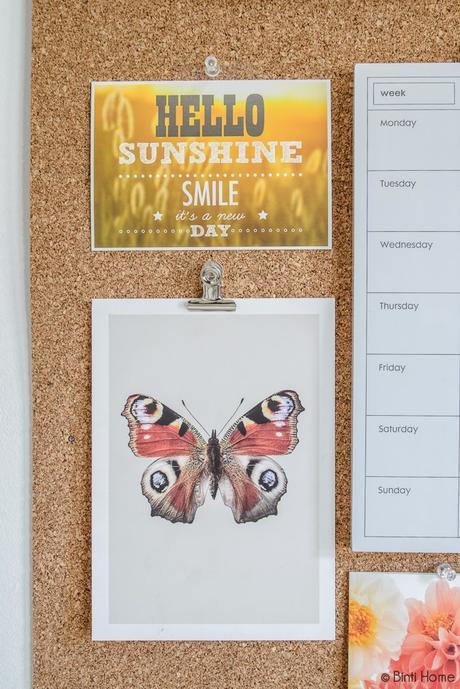 El estudio soñado + Sorteo Día de la Madre