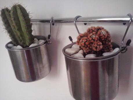♥ ♥ ♥ MI JARDINCILLO EN LA COCINA
