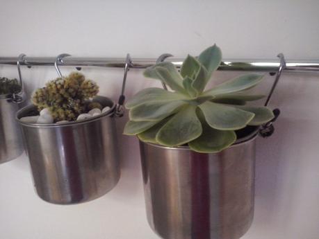 ♥ ♥ ♥ MI JARDINCILLO EN LA COCINA