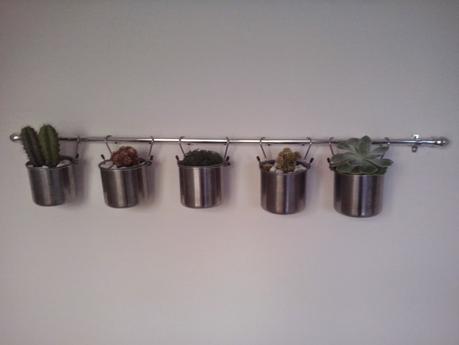 ♥ ♥ ♥ MI JARDINCILLO EN LA COCINA