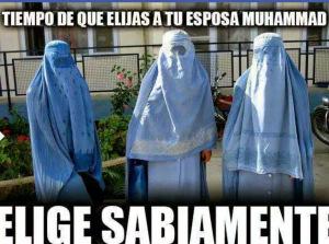 2889a-2015-03-182b11-42-29