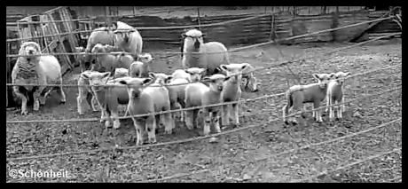 magos del texto vacío