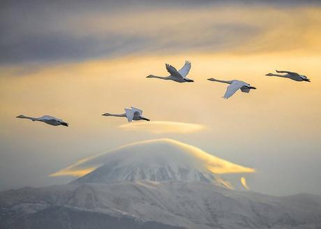 10989151_626543497447176_7958878817596398666_n