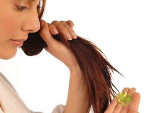 Milagrosos beneficios del Aceite de jojoba para el cabello.