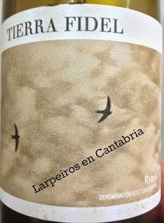 Vino Tinto Tierra Fidel 2001: Espectacular