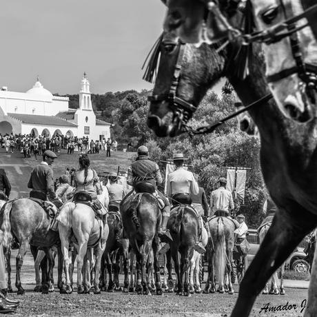 Romería de Ntra. Sña. de Piedras Albas. Fotografías en Blanco y Negro