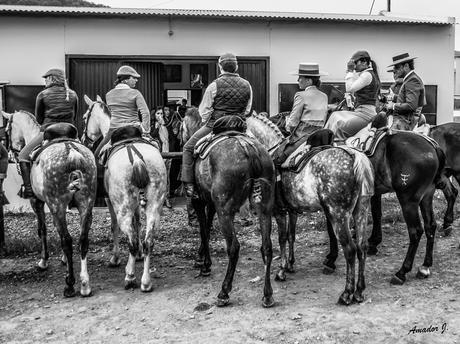 Romería de Ntra. Sña. de Piedras Albas. Fotografías en Blanco y Negro