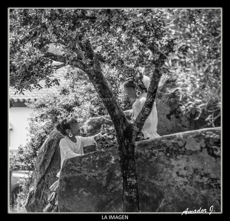 Romería de Ntra. Sña. de Piedras Albas. Fotografías en Blanco y Negro