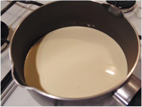 Panna cotta de chocolate