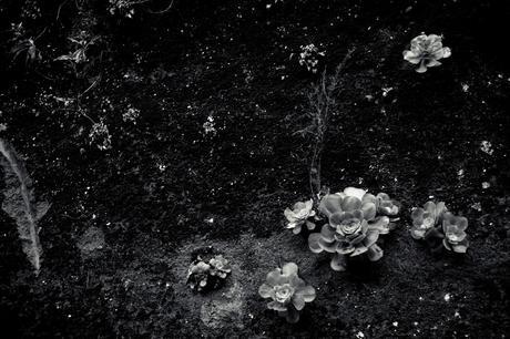 Senda y camino de Rocío Eslava Senda y camino de Rocío Eslava