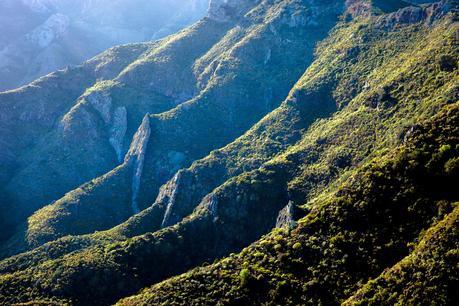 Senda y camino de Rocío Eslava Senda y camino de Rocío Eslava