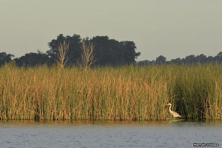 Tarde en la laguna de Lobos (marzo 2015)