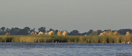 Tarde en la laguna de Lobos (marzo 2015)