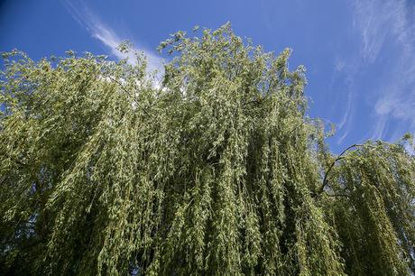 Escalante, Cantabria