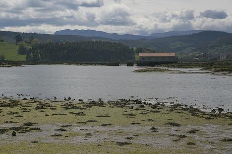 Escalante, Cantabria