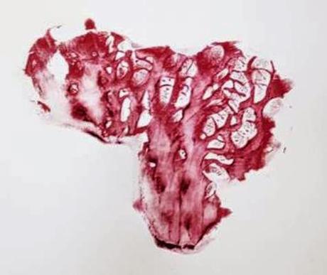 Obra abierta: Ejes de Libertad