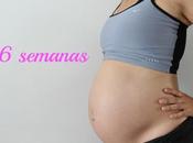 embarazo: semana