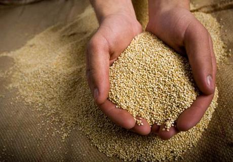 La quinua, un regalo de la naturaleza