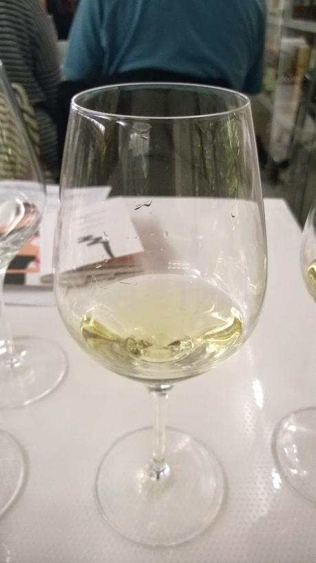 CATA DE VINOS DE DO SOMONTANO