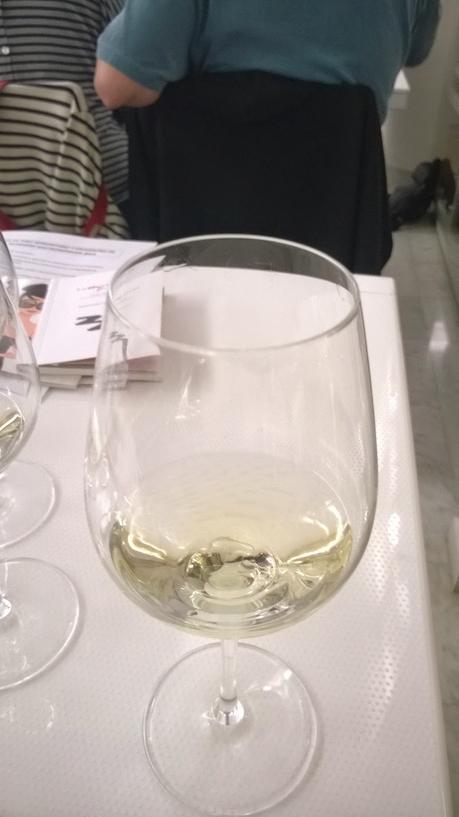 CATA DE VINOS DE DO SOMONTANO