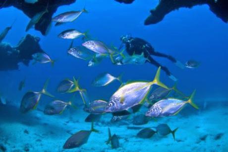 10 Actividades para hacer con niños en Fuerteventura.