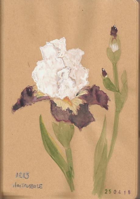 Jardín Botánico de Madrid