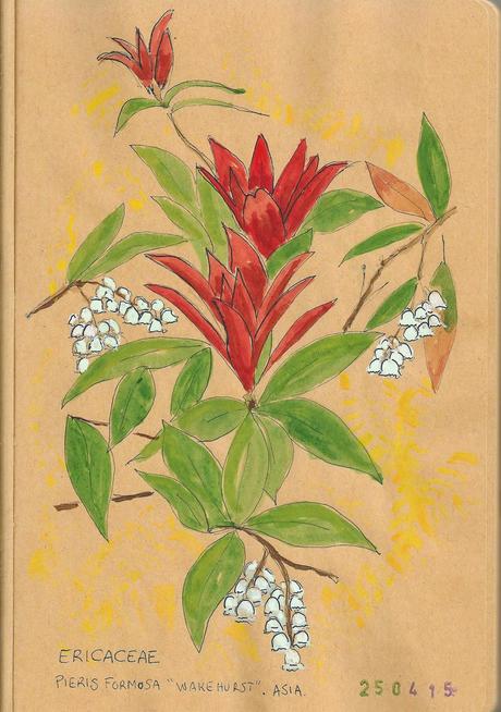 Jardín Botánico de Madrid