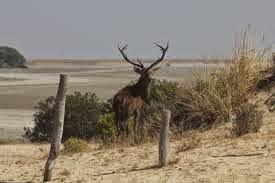 Doñana..... Un lugar donde perder el sentido del tiempo
