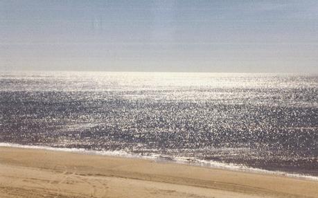 Doñana..... Un lugar donde perder el sentido del tiempo