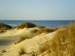 Doñana..... Un lugar donde perder el sentido del tiempo