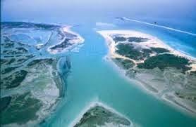 Doñana..... Un lugar donde perder el sentido del tiempo