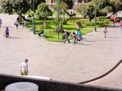 Cuzco (cusco)
