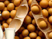 Como elaborar leche soja casa