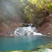 El Parque Nacional de Calilegua fue creado para resguardar un sector representativo de las Yungas.
