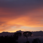 El Parque Nacional de Calilegua fue creado para resguardar un sector representativo de las Yungas.