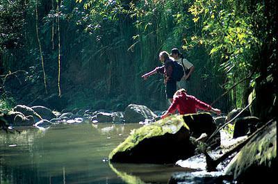 El Parque Nacional de Calilegua fue creado para resguardar un sector representativo de las Yungas.