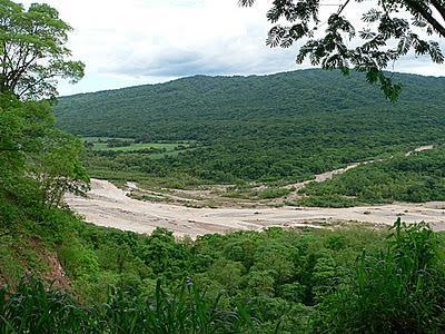 El Parque Nacional de Calilegua fue creado para resguardar un sector representativo de las Yungas.