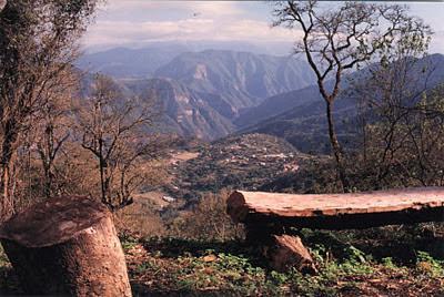 El Parque Nacional de Calilegua fue creado para resguardar un sector representativo de las Yungas.