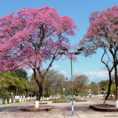 El Parque Nacional de Calilegua fue creado para resguardar un sector representativo de las Yungas.