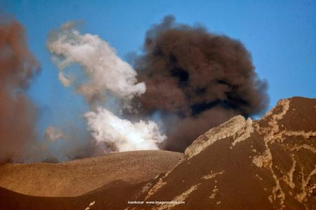 NATURALEZA: BELLEZA Y TRAGEDIA