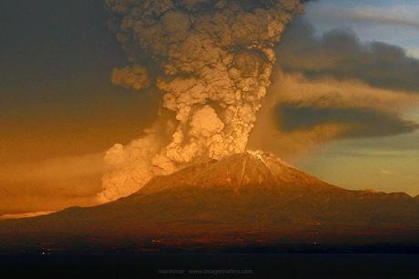 NATURALEZA: BELLEZA Y TRAGEDIA