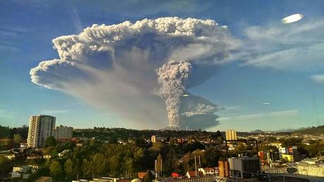 NATURALEZA: BELLEZA Y TRAGEDIA