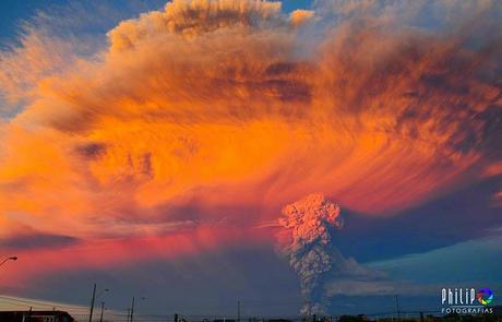 NATURALEZA: BELLEZA Y TRAGEDIA