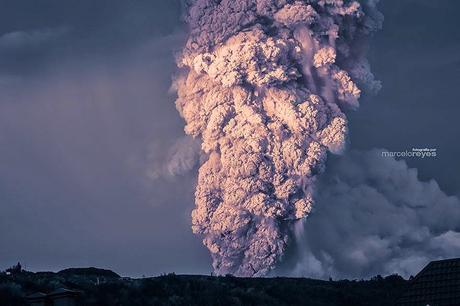 NATURALEZA: BELLEZA Y TRAGEDIA