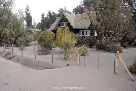 NATURALEZA: BELLEZA Y TRAGEDIA