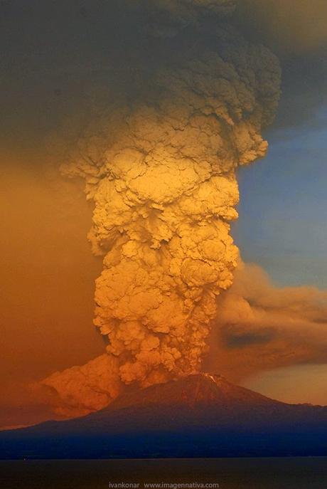 NATURALEZA: BELLEZA Y TRAGEDIA