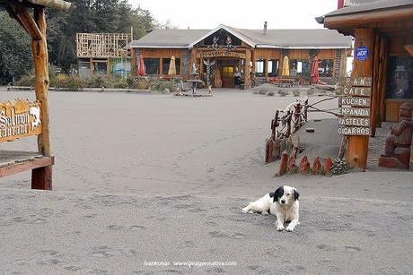 NATURALEZA: BELLEZA Y TRAGEDIA